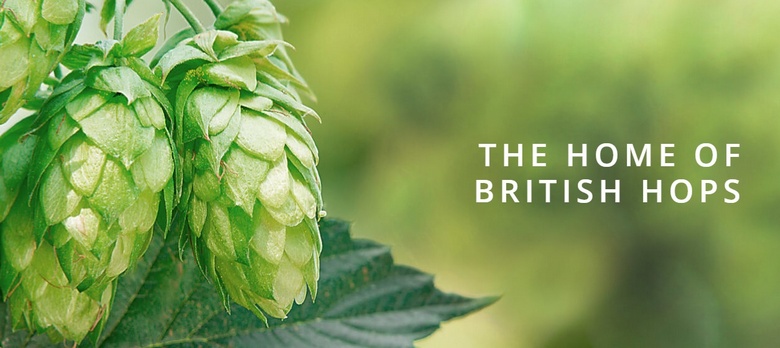 British Hop Association