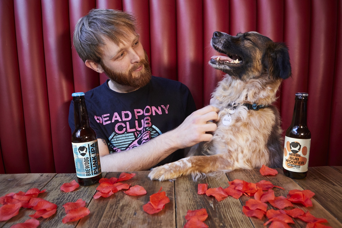 brewdog dog birthday party