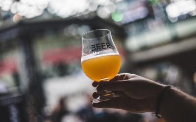 Beer festival drinkers are loving lagers and fruit beers