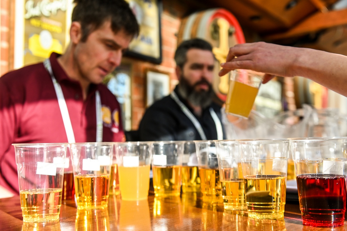 International Brewing Cider Awards judging