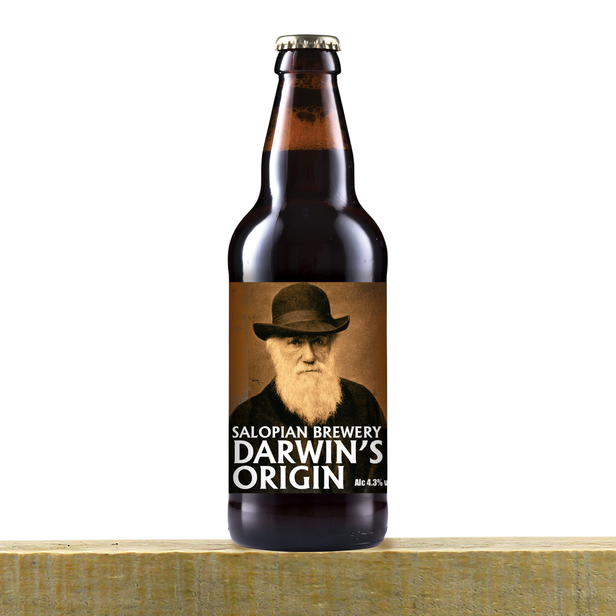 Salopian Brewery Darwin's Origin