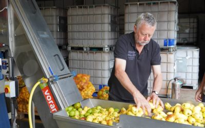 Apple swapping is back at Fowey Valley Cidery