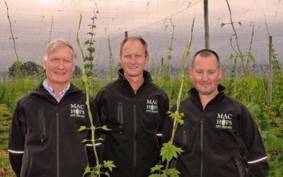 Yakima Chief partners with New Zealand hop growing family