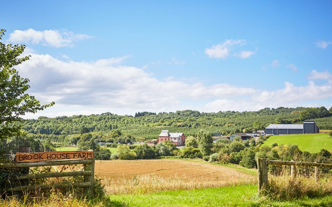 Brook House Hops to raise funds for The Lullaby Trust