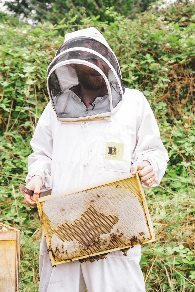Wye Valley beekeeping