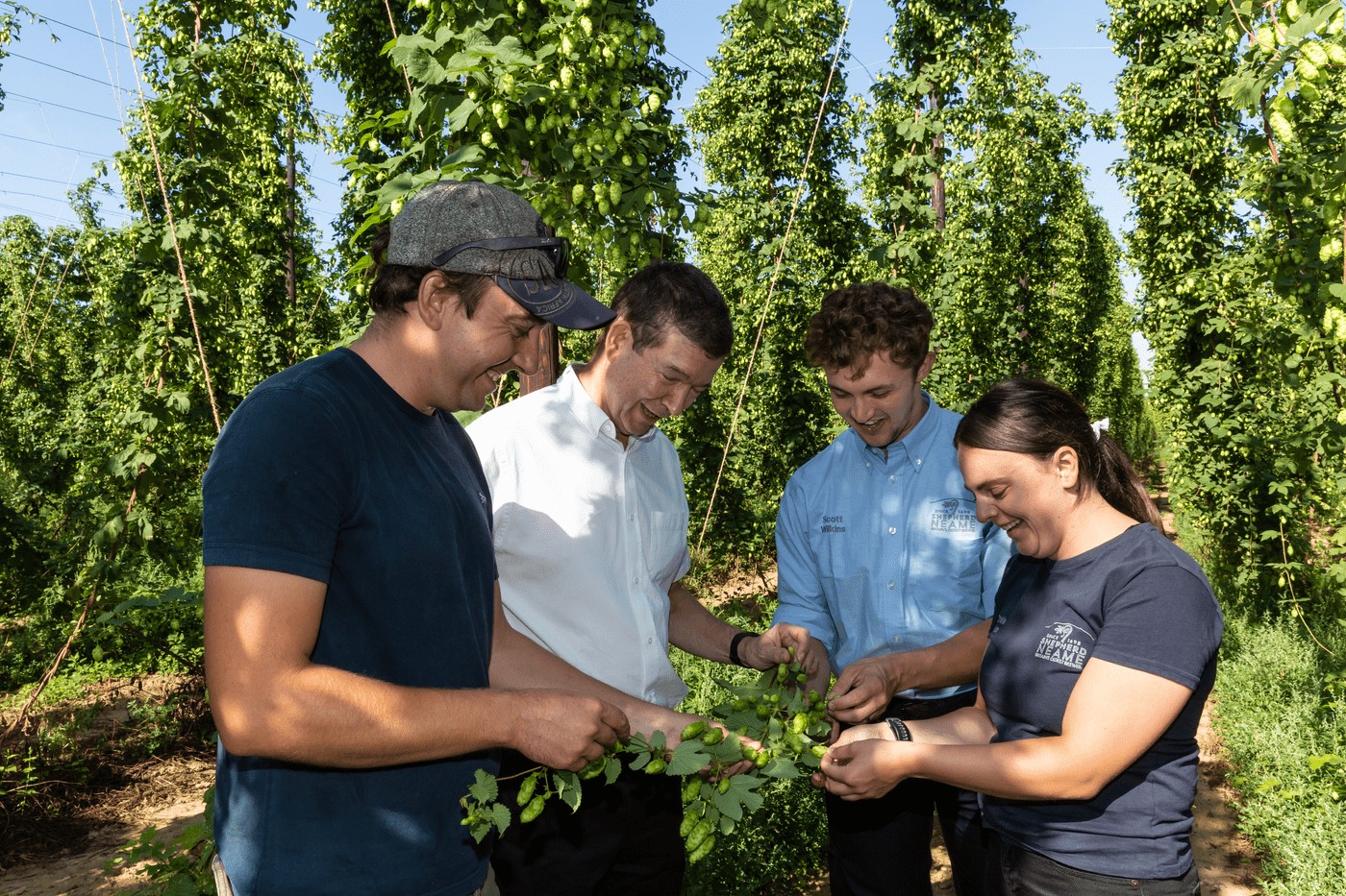 Faversham Hop Festival Returns Celebrating Green Hops   Faversham Hop Festival Growers 