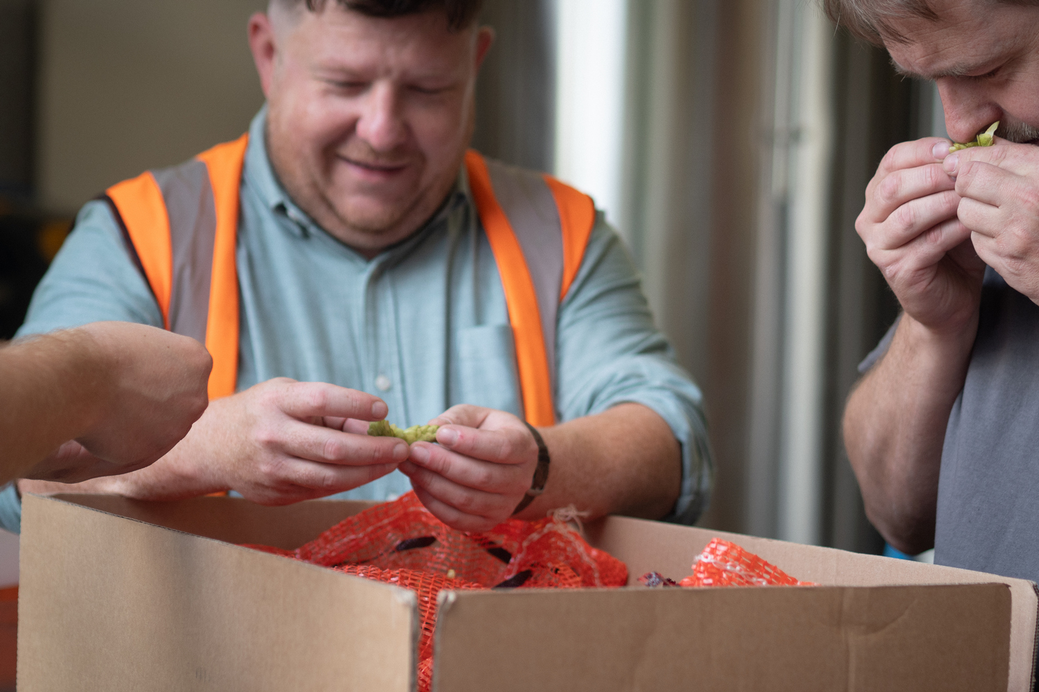 JW Lees Brookhouse hops