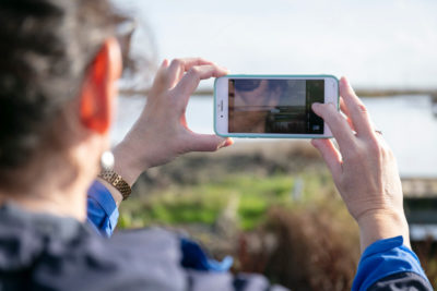 Shepherd Neame phone