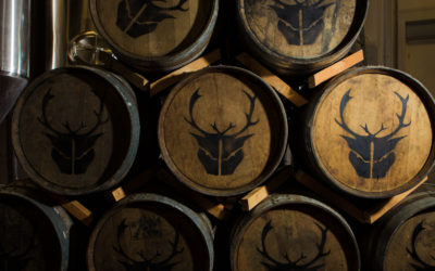 Curious Brewery acquires Wild Beer Co brands