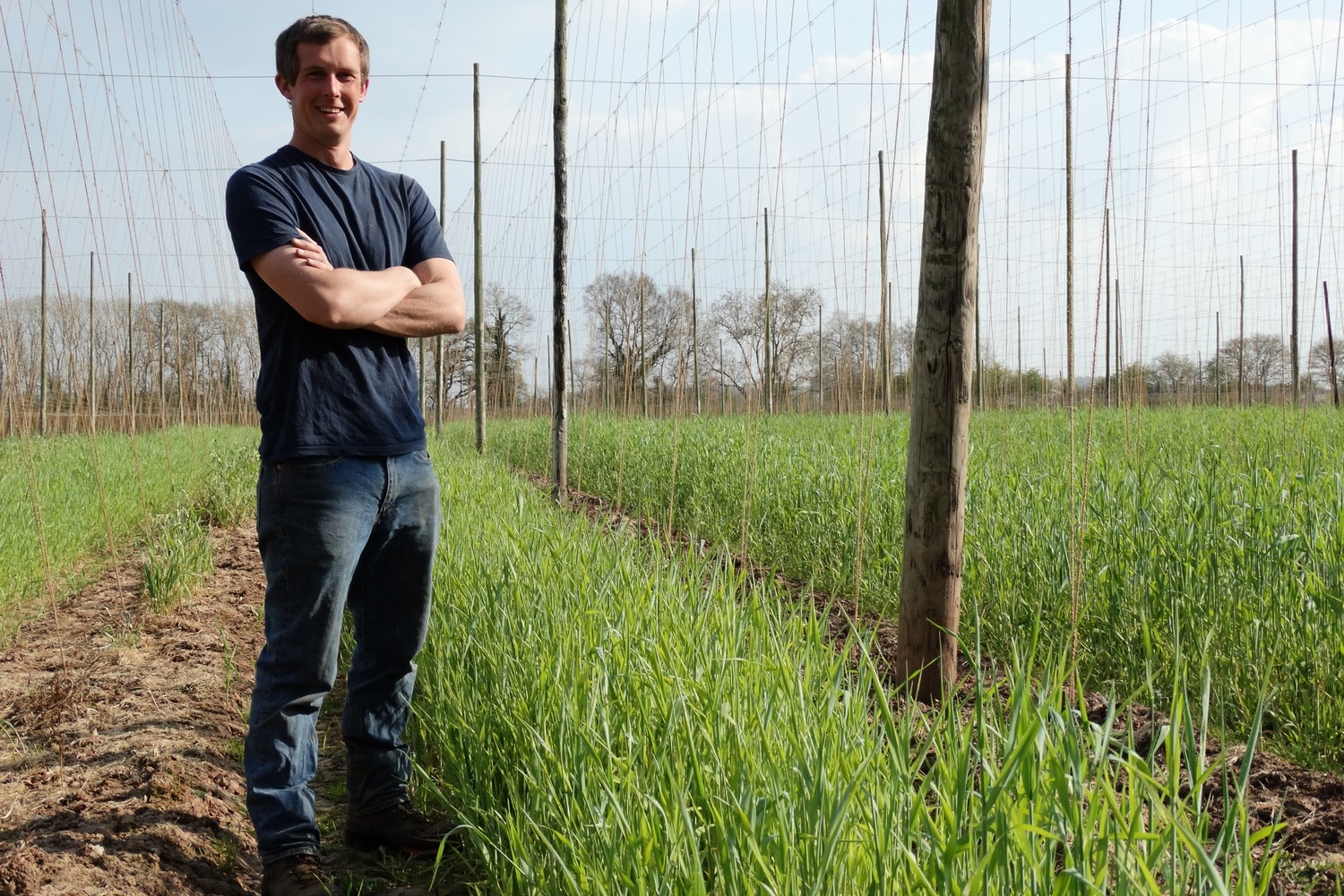 Harlequin wins British hop award for Herefordshire grower thumbnail