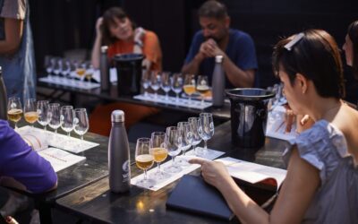 WSET announces Awards in Beer course providers