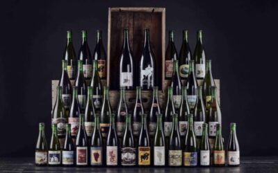 Vintage Beer Cellar to open in London this weekend