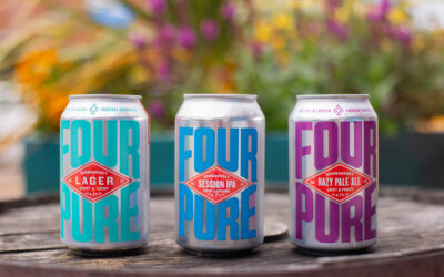 Fourpure Brewing Co placed in voluntary liquidation