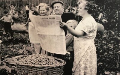 A hop back in time as the Hogs Back harvest nears