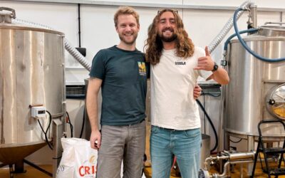 Song inspires a new Cornish hazy pale ale