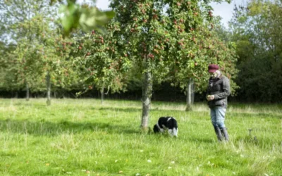 Beer Writers award renamed in honour of cider advocate