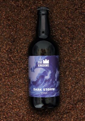 Five Kingdoms Dark Storm