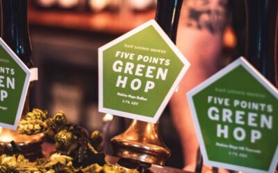 Its Green Hop Festival weekend at the Pembury Tavern