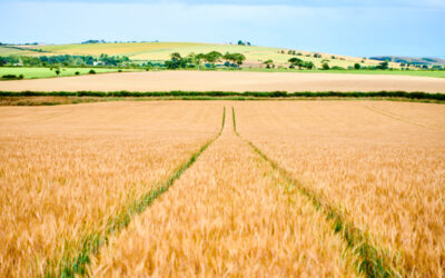 Farm sustainability award for Simpsons Malt