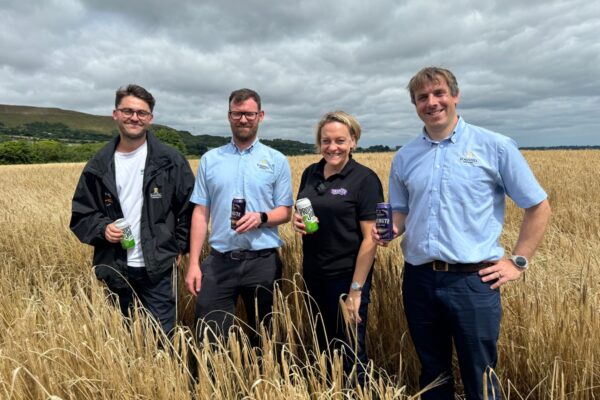 St Austell barley harvest