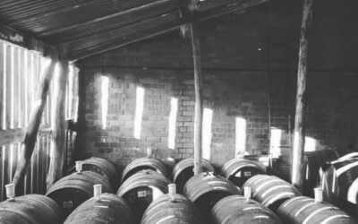 Join The Ciderologist on a Herefordshire tour