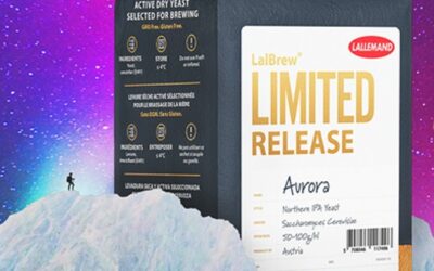 Lallemand unveils yeast strain for Northern IPA