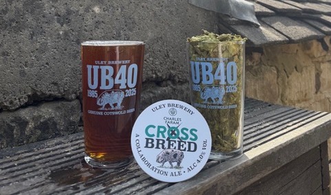 Cross Breed showcases new British hop variety thumbnail