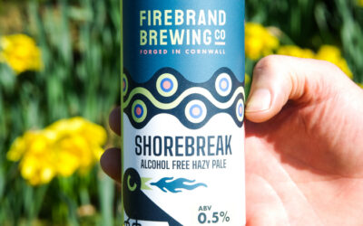 Another global award for Firebrand’s Shorebreak