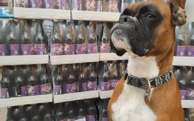 On the Isle of Arran, there’s a new pup in town