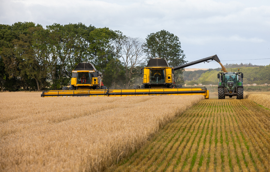 Crisp Field Forward