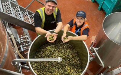 From Cornwall to the Blackhorse Beer Mile