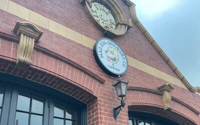 100 free pints up for grabs at Mad Dog Taproom