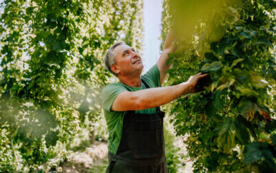 BarthHaas innovates to tackle climate change