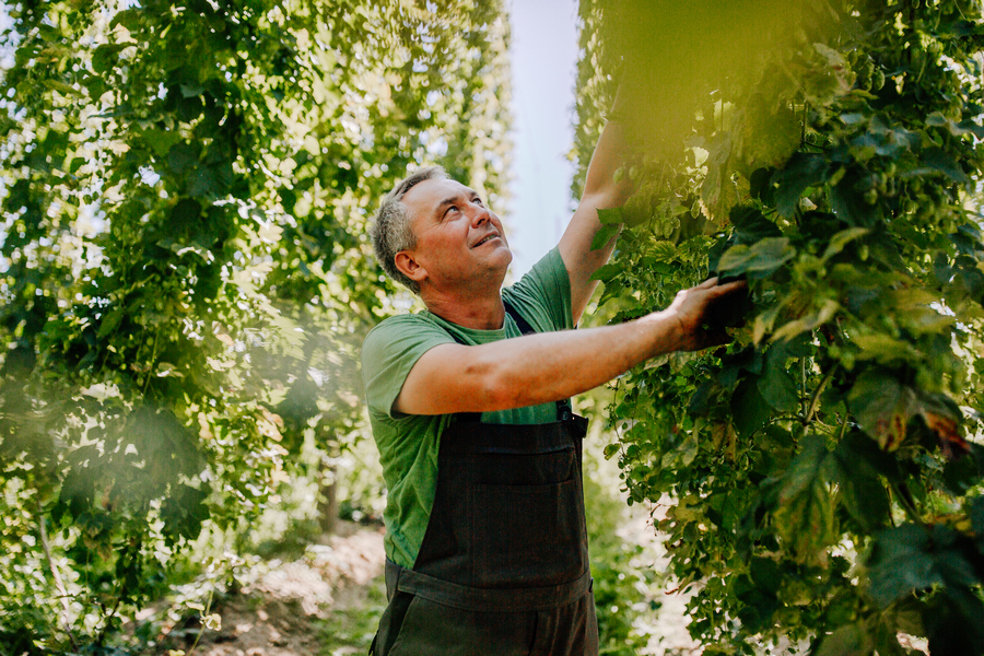 BarthHaas innovates to tackle climate change