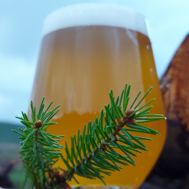 Northumbrian spruce saison earns national medals