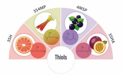 Oregon State University to host thiol webinar