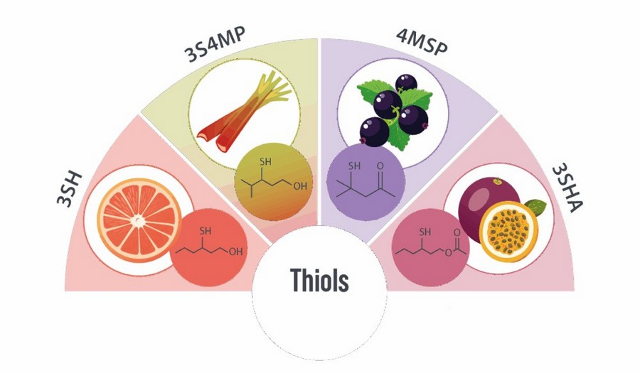 Oregon State University to host thiol webinar