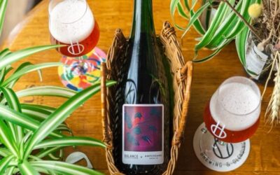 The new releases round-up