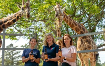 Bays Tall Order giraffes