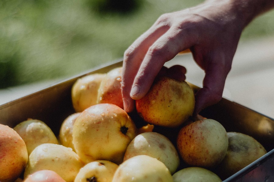 Let’s raise the juice content in cider and perry, says CAMRA