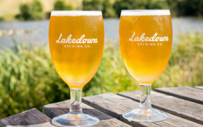 Lakedown collaboration for new era of Brewser