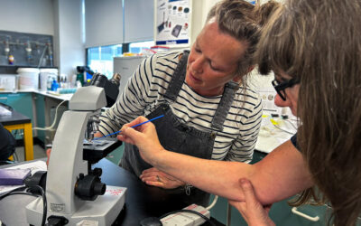 Brewlab courses on offer this autumn