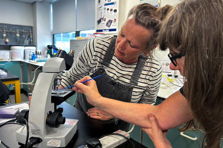 Brewlab courses on offer this autumn