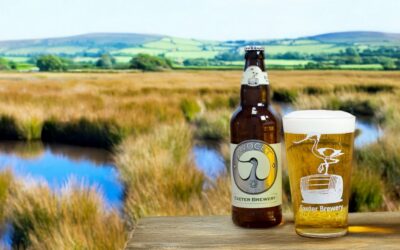 Exeter Brewery returns to Sidmouth Folk Festival