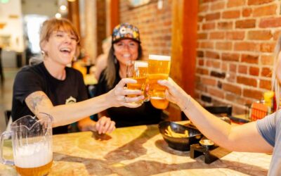Understanding the American craft beer consumer