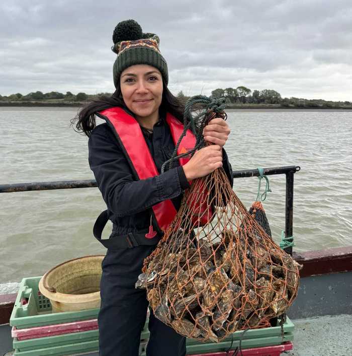 Lara Lopes oysters
