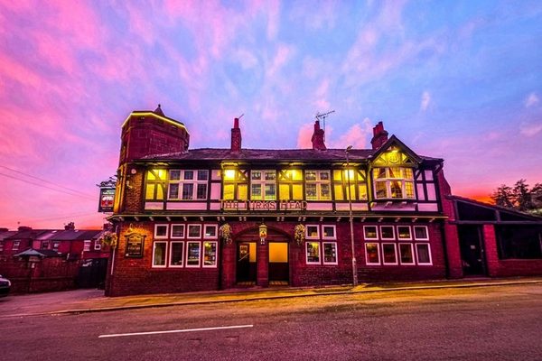 POTY Turks Head